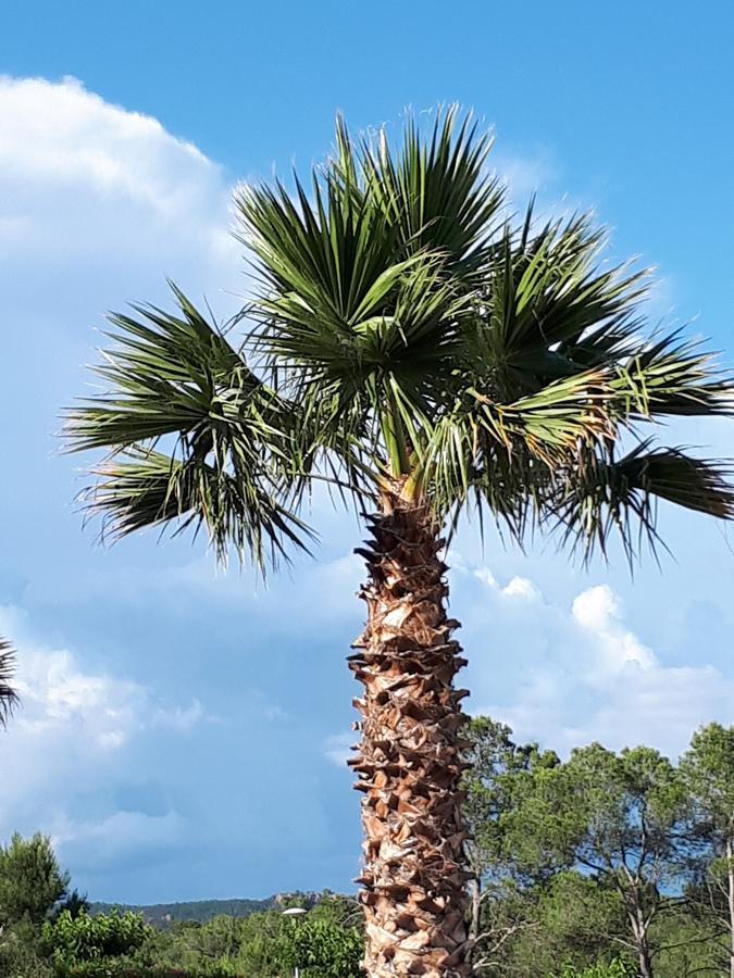 Les Parasols D'Argens Otel Roquebrune-sur Argens Dış mekan fotoğraf